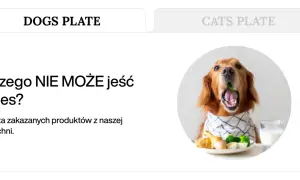 Złoty retriever z otwartym pyskiem, próbujący zjeść coś zielonego. Obok talerz z jedzeniem i szklanka mleka. Temat: czego nie mogą jeść psy.