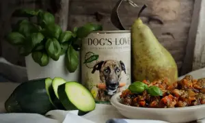 Czy pies może jeść rosół? Puszka karmy "Dog's Love", cukinia, gruszka i miseczka z jedzeniem dla psa sugerują, że tak.