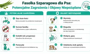 Czy pies może fasolkę szparagową? Obraz pokazuje zagrożenia: zbyt duże ilości, surowa fasolka, dodatki, pestycydy. Objawy: wymioty, biegunka, gazy, osłabienie.
