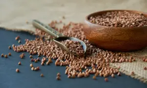 Kaszę gryczaną w drewnianej misce i na łyżce. Czy pies może jeść kaszę gryczaną? Tak, to zdrowy dodatek do diety.