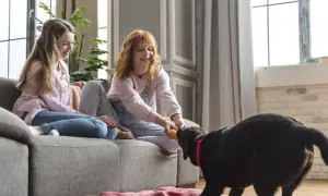 Dziewczyny uczą psa komendy "zostaw", bawiąc się z nim zabawką.