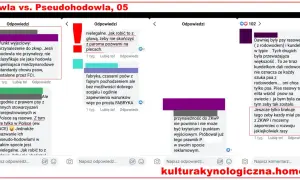 Dyskusja o hodowlach psów, w tym o tych nieuznanych przez FCI, które często działają jak fabryki, a ich działalność może być nielegalna.