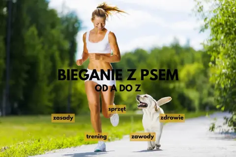 Szczęśliwa kobieta i jej pies biegają razem po parku. Tekst informuje o bieganiu z psem od A do Z, poruszając tematy zasad, treningu, sprzętu, zawodów i zdrowia.