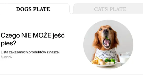 Złoty retriever z otwartym pyskiem, próbujący zjeść coś zielonego. Obok talerz z jedzeniem i szklanka mleka. Temat: czego nie mogą jeść psy.