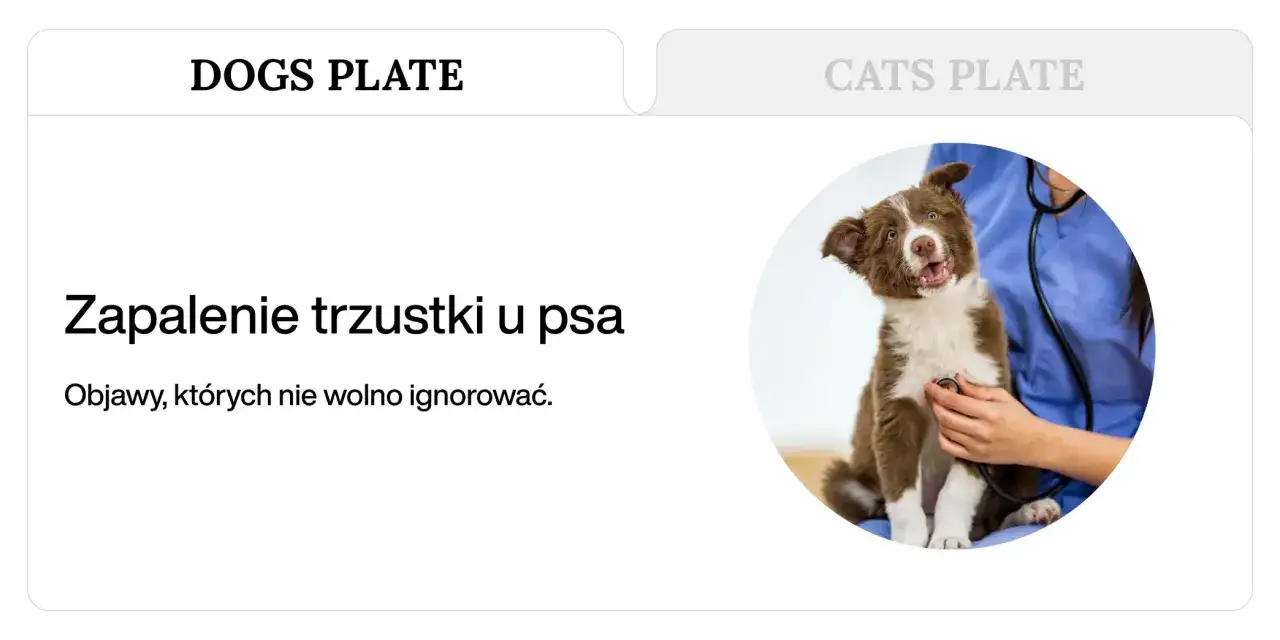 Szczeniak z zapaleniem trzustki u psa. Objawy, których nie wolno ignorować, by uniknąć śmiertelności.