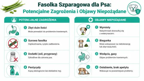 Czy pies może fasolkę szparagową? Obraz pokazuje zagrożenia: zbyt duże ilości, surowa fasolka, dodatki, pestycydy. Objawy: wymioty, biegunka, gazy, osłabienie.